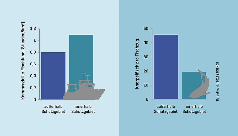 Kommerzieller Fischfang (links) sowie Fänge von Knorpelfischen (rechts) ausserhalb und innerhalb von Schutzgebieten. Grafik: M. Dureuil, Dalhousie Univ.