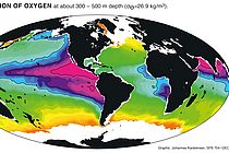 In der biogeochemischen Modellierung werden die Wechselwirkungen von elementaren Stoffen im Ozean untersucht. Dazu gehört auch die Verteilung von Sauerstoff.