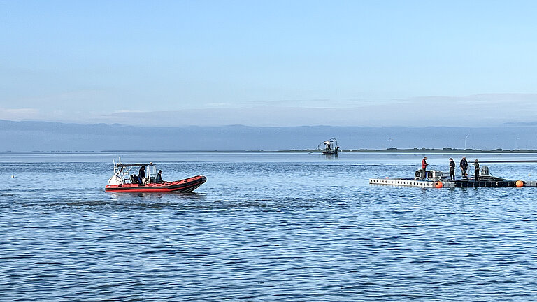 An inflatable boat, a zodiac, is heading towards a pontoon; the sea and the sky are blue