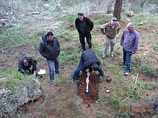 karst field with pinnacles