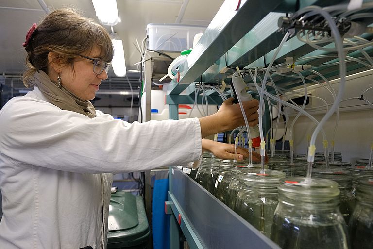 Thea Hamm is standing in front of a shelf with several jars into which tubes lead.