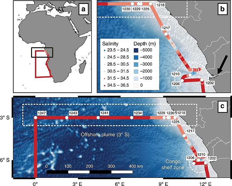 Salzgehaltsmessungen entlang der Expedition M121 (GEOTRACES GA08)(a). Die Einsätze geben einen detaillierten Überblick über die Untersuchungsregion einschließlich der Bathymetrie und der 228Ra-Stationen, die in der Kongo-Schelfell-Zone (b), entlang des vorgelagerten 3°S-Transekts (c), beprobt wurden. Aus: Vieira et. al. (2020)