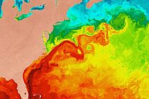 Darstellung der Oberflächentemperaturen im Nordatlantik. Das rote Band zeigt den Golfstrom, der warmes Wasser aus den Tropen in die hohen nördlichen Breiten transportiert. Foto: NASA