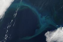 Phytoplanktonblüte im Nordpazifik, aufgenommen vom Satelliten MODIS Aqua. Foto: LANCE/EOSDIS Rapid Response Team, NASA