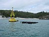 A wooden raft carries one of the experimental set-ups in the bay of Arraial do Cabo in Brazil.