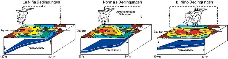 Schematische Darstellung der El Niño Phasen. Nach NOAA/PMEL.