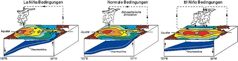 Schematische Darstellung der El Niño Phasen. Nach NOAA/PMEL.