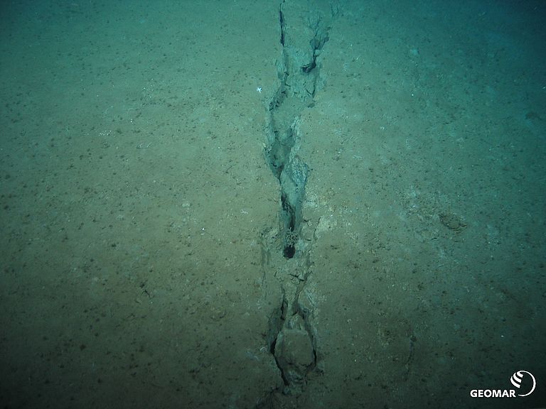 Bilder des ROV KIEL 6000 vom September 2010 zeigen  frische Spuren des Maule-Erdbebens am Meeresboden. Foto: ROV-Team, GEOMAR