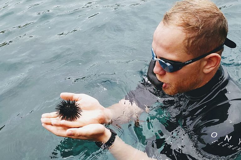 A diver wearing a snorkel has collected a sea urchin.