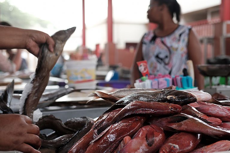 Fish market in Mindelo. Fisheries are an important economical factor for the Republic of Cape Verde . Photo: Jan Steffen/GEOMAR