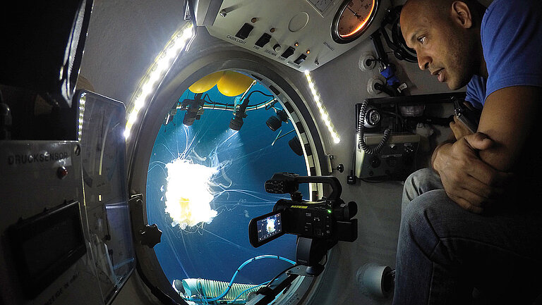 Unterwasserbeobachtung einer Qualle vor den Kapverden. 