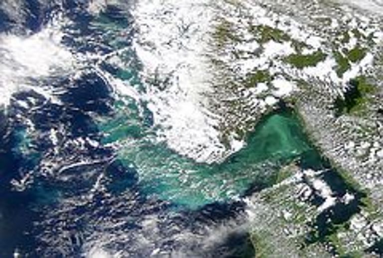 Planktonblüte im Skagerrak. Quelle: SeaWiFS Project, NASA/Goddard Space Flight Center und ORBIMAGE
