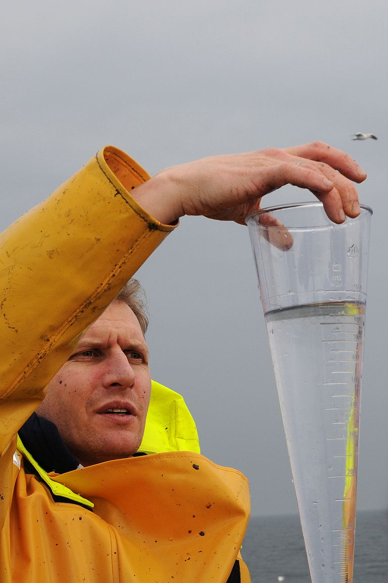   Fisheries biologist Dr. Christoph Petereit checks fertilized eggs. Photo credit: Maike Nicolai, GEOMAR
