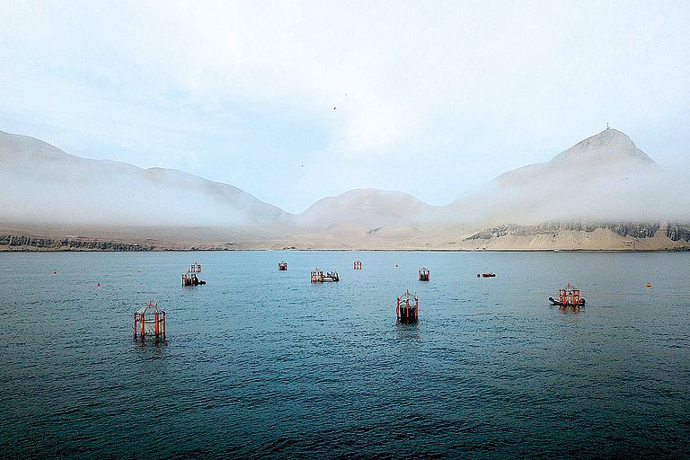 Die Kieler KOSMOS-Offshore-Mesokosmen an der peruanischen Küste vor Callao. Foto: Ulf Riebesell / GEOMAR