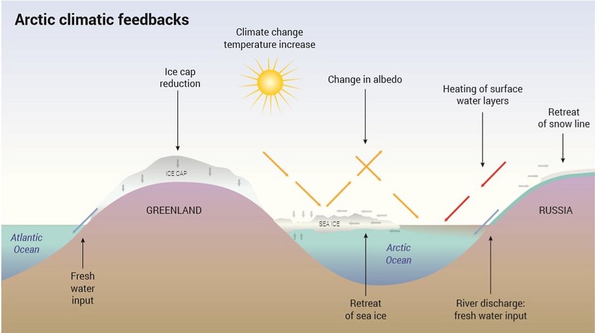 Arctic Amplification. Image: UN Environment and GRID-Arendal