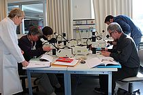 Heidi Gonschior (links) hilft bei der Identifizierung von Meeresorganismen unter dem Mikroskop. Foto: S. Dengg, GEOMAR