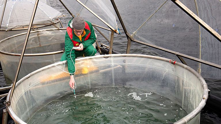 Dr. Kai Schulz measures the pH in one of the mesocosms after the addition of rock flour.