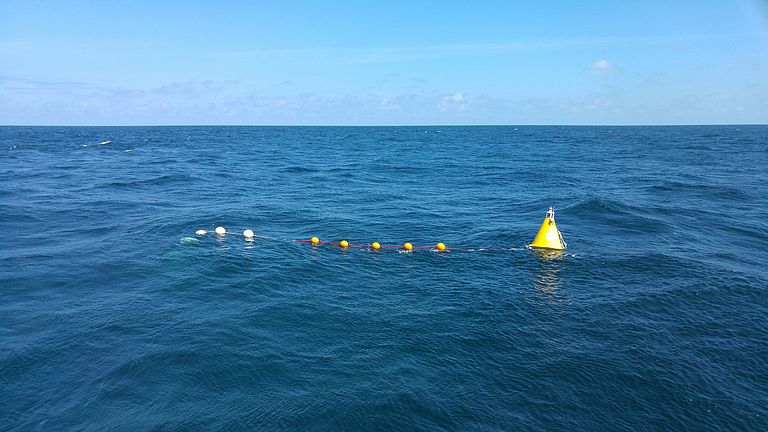A buoy and surface floats in the sea