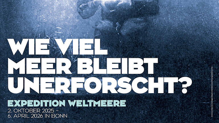 Weltmeere Poster 03