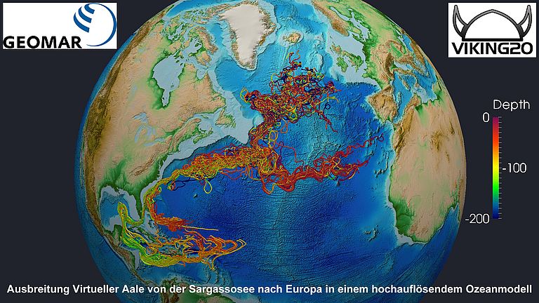 Ausbreitung virtueller Aale von der Sargassosee nach Europa in einem hochauflösenden Ozeanmodell. Deutlich zu erkennen die zwei Wege, die die Larven je nach Windverhältnissen nehmen müssen: a) der lange Weg durch die Karibik oder b) der kurze direkt in den Golfstrom. Modellierung: GEOMAR (Animation der Modellierung unten auf dieser Seite)