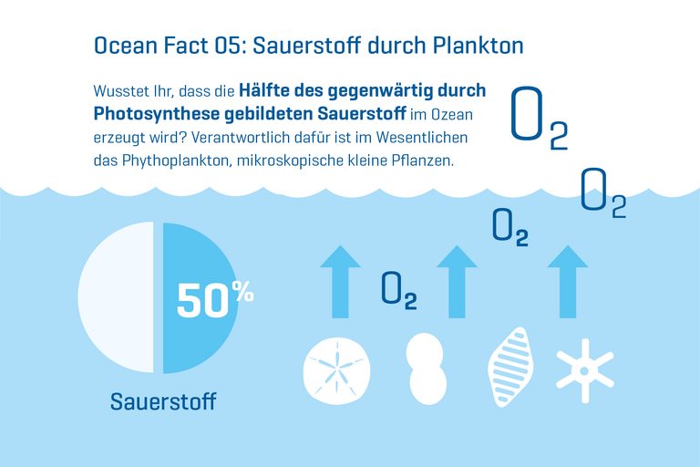 Wusstet Ihr, dass pflanzliches Plankton die Hälfte des Sauerstoffs liefert, den wir atmen? Ohne den Ozean wären die Aussichten für menschliches Leben auf der Erde stark vermindert. 