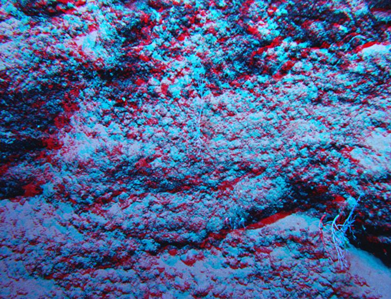 Pyroklastische Ablagerung in 3000 Metern Tiefe. Sie belegen explosiven Vulkanismus in dieser Wassertiefe. (Stereo-Aufnahme! 3-D-Effekt mit Rot-Grün-Brille). Foto: IFM-GEOMAR