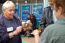 Am 22. Juni können große und kleine Besucher auf dem Forschungsschiff ALKOR Meerestiere der Ostsee hautnah erleben. Foto: J. Steffen, GEOMAR