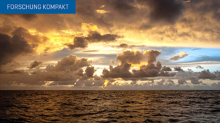 forschung kompakt visual 01