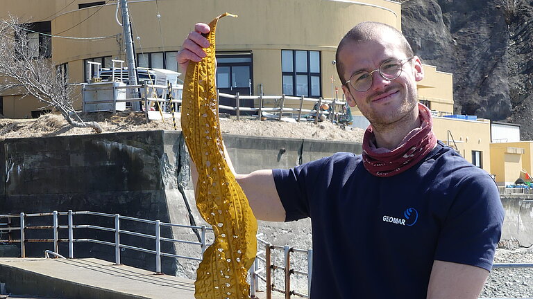 Junger Forscher mit langer Braunalge am Meer.