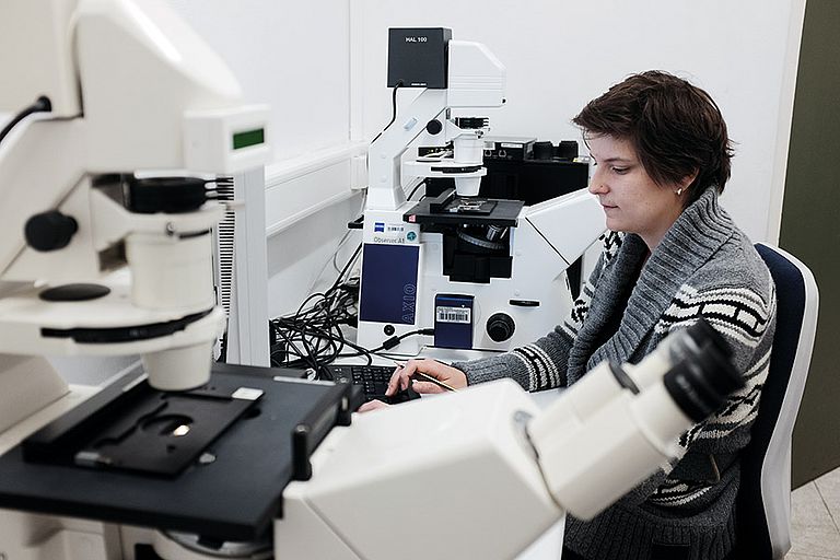 Wer vermehrt sich besser, wer liegt hinten? Am Mikroskop wertet Luisa Listmann die Entwicklung der Konkurrenten. Foto: Jan Steffen, GEOMAR.