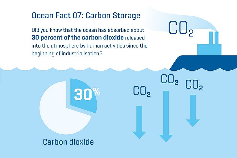 Did you know that the ocean has absorbed about 30 percent of the carbon dioxide released into the atmosphere by human activities since the beginning of industrialisation?