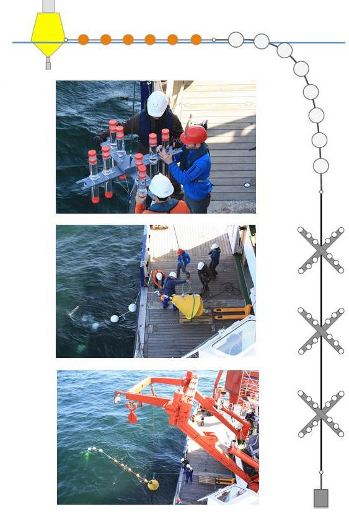 Figure 2: Surface tethered sediment traps array and deployment at sea on FS ALKOR (Photo: Angela Stippkugel).