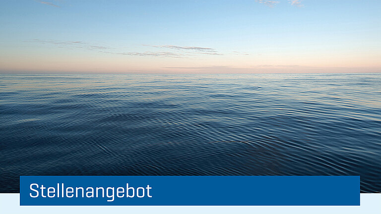 Banner Stellenangebot Single