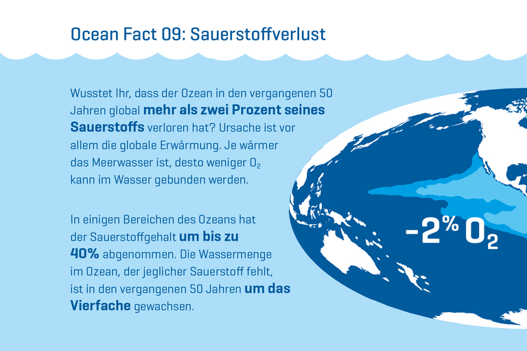 Wusstet Ihr, dass der Ozean in den vergangenen 50 Jahren global mehr als zwei Prozent seines Sauerstoffs verloren hat? Ursache ist vor allem die globale Erwärmung. Je wärmer das Meerwasser ist, desto weniger O2 kann im Wasser gebunden werden. In einigen Bereichen des Ozeans hat der Sauerstoffgehalt um bis zu 40% abgenommen. Die Wassermenge im Ozean, der jeglicher Sauerstoff fehlt, ist in den vergangenen 50 Jahren um das Vierfache gewachsen. 