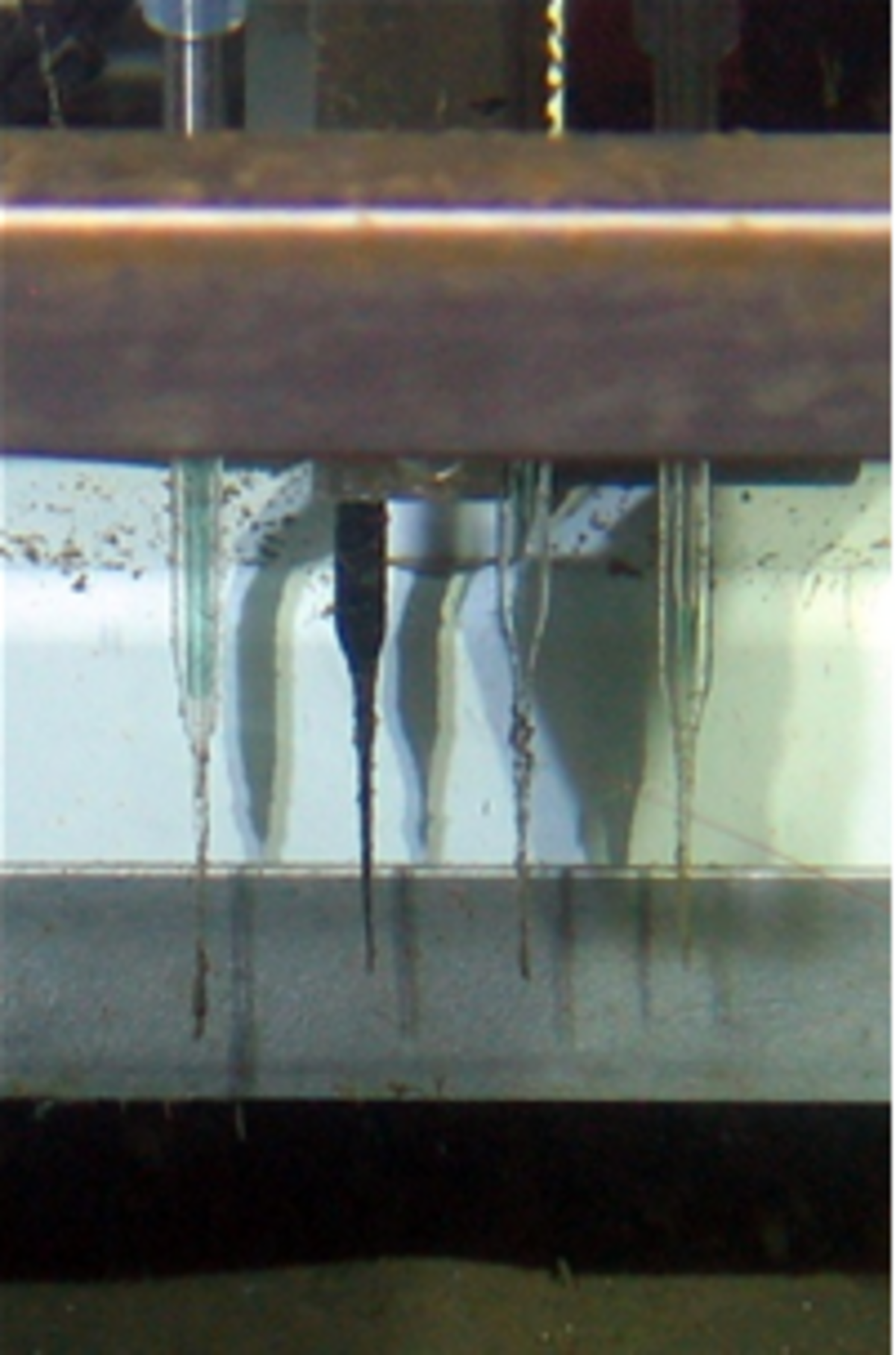 Der Transecting Profiler dient zu speziellen Micromaßstabsmessungen von Sauerstoff, Schwefelwasserstoff und dem pH-Wert im Sediment. Der Profiler ist an einem  Benthic Lander Rahmen montiert. Aufgenommen wurden diese Bilder vom ROV Kiel 6000 während einer