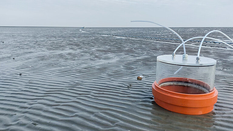 Picture of a short tube in the mudflats, orange at the bottom and transparent at the top, with a transparent lid from which thin plastic tubes protrude