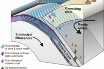 Water pathways at subduction zones: through large cracks formed during the subduction process of the oceanic plates water penetrates, is partly captured and transported in the mantle. There, high pressure and temperatures squeeze it out of the subducting plate and the water ascends back to the surface. graphic: Worzewski