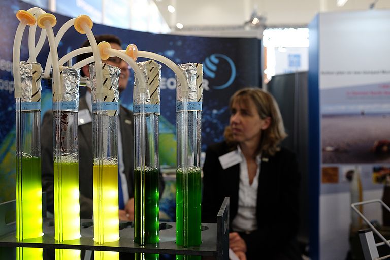 Ein Thema des Exzellenzclusters "Ozean der Zukunft": Welche Bedeutung haben Mikroalgen für die Ernährung und die Energieversorgung der Zukunft? Foto: J. Steffen, GEOMAR