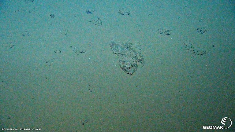Plastiktüte am Meeresboden des DISCOL-Gebietes aus Sicht des Tiefseeroboters ROV KIEL 6000. Foto: ROV-Team/GEOMAR