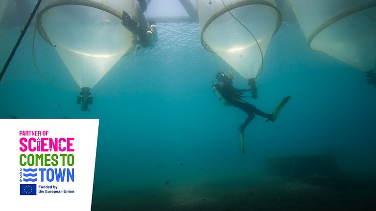 Ein Taucher unter Wasser arbeitet an schwimmenden Mesokosmen