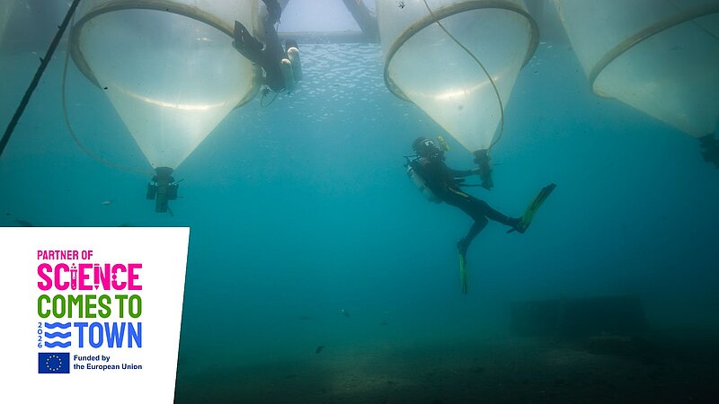 Ein Taucher unter Wasser arbeitet an schwimmenden Mesokosmen