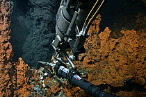 Greifarm an einem schwarzen Raucher 