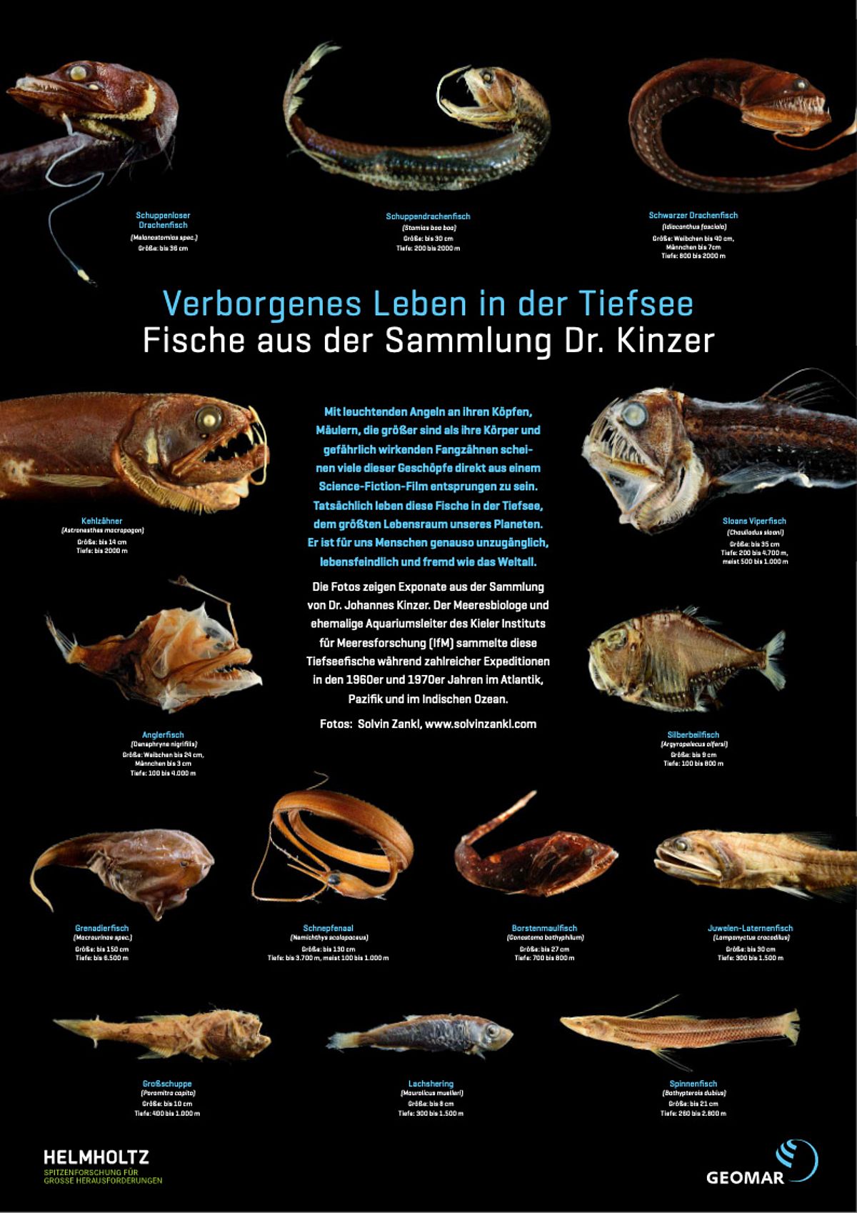 [Translate to English:] Poster Tiefseefische