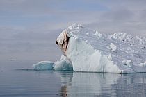 Iceberg off the coast of Svalbard. Photo: M. Nicolai, GEOMAR.