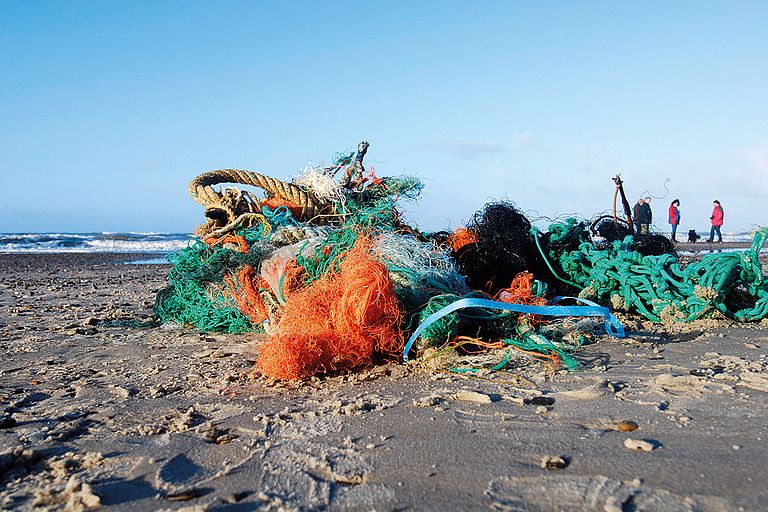 Plastikmüll ist für einige Arten im Meer gefährlich. Die Auswirkungen auf das Gesamtsystem Ozean sind aber noch kaum erforscht. Foto: Mark Lenz/GEOMAR