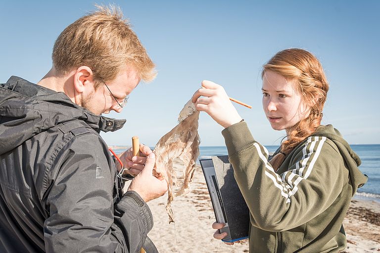 Along the investigated beach section, all finds are examined and assigned to a predefined category.