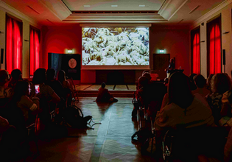 Ein Kinossal mit roten Wänden. Auf der Leinwand ist ein Tiefseemotiv zu sehen