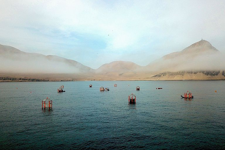 The orange buoyancy bodies of the KOSMOS mesocosms off the coast of Peru from a drone perspective