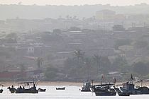 Small fishing boats on the water with palm trees and houses on land in the background.