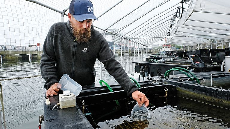 Investigation of water quality in an experimental chamber of the Kiel Outdoor Benthocosms.